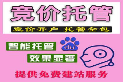 百度竞价代理操作手册：成功案例分析